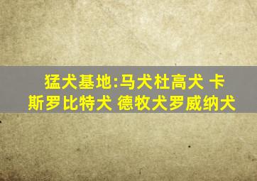 猛犬基地:马犬杜高犬 卡斯罗比特犬 德牧犬罗威纳犬